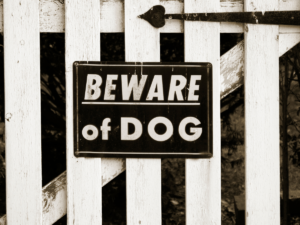 Beware of DOG sign on a white picket fence.